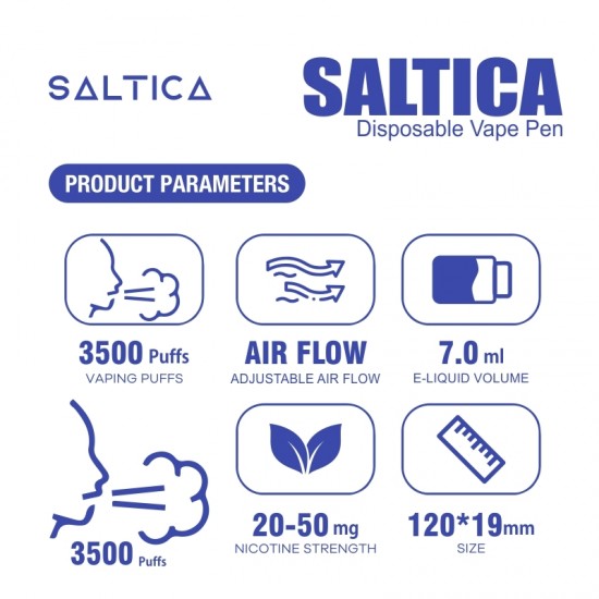 Saltica Blueberry Ice Disposable Vape Pen