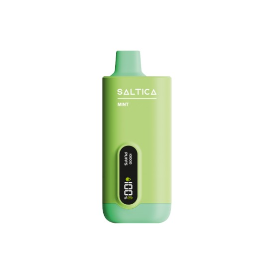 Saltica Ekranlı 10000 Mint Disposable Vape Bar