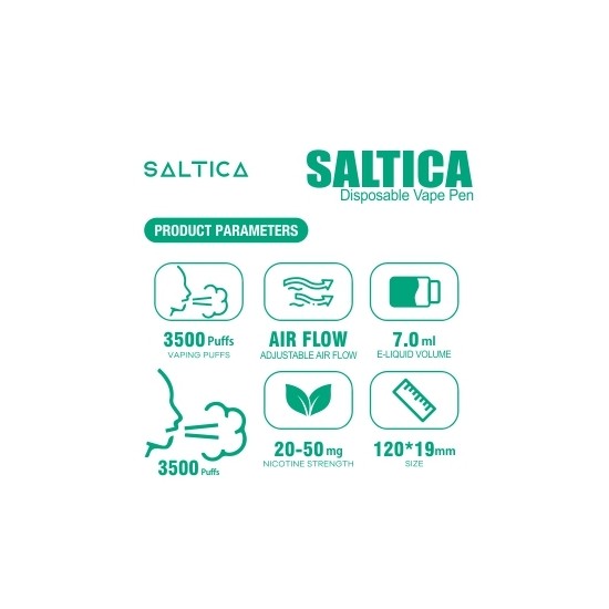 Saltica Fresh Mint Disposable Vape Pen