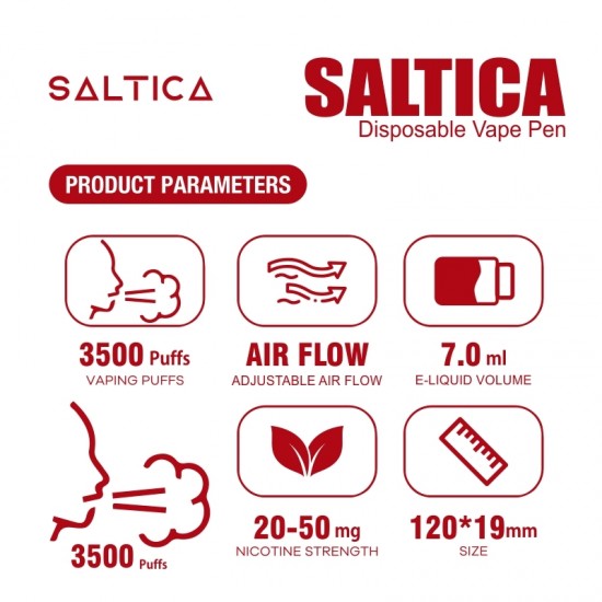 Saltica Lychee Ice Disposable Vape Pen